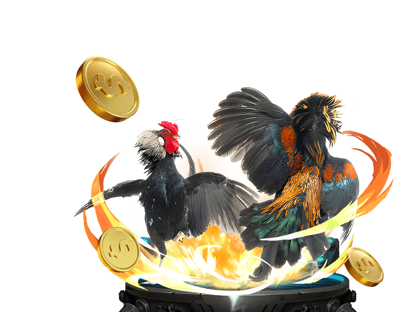 Đá gà trực tuyến OK VIP