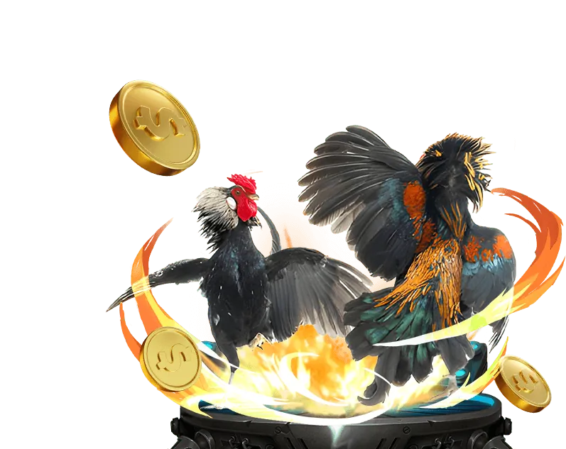 Đá gà trực tuyến OK VIP